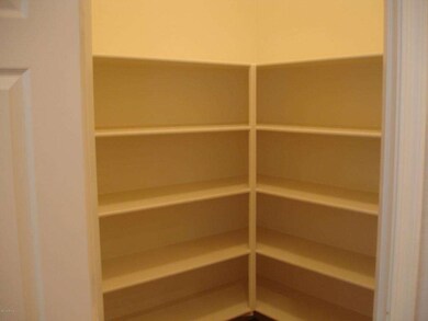 Big Walk in Kitchen Pantry