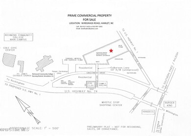 Tbd Wiregrass Rd, Hamlet, NC 28345 - photo 3