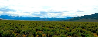 Nv 399, Lovelock, NV 89419 - photo 4