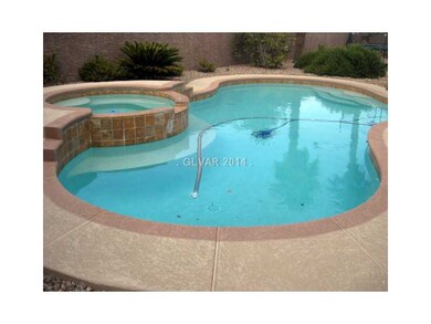 Swimming Pool/Hot Tub/Sauna. Sparkling Pool and Sp