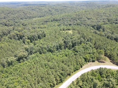 0 White Oak Rd unit RTC2679743, Stewart, TN 37175 - photo 5