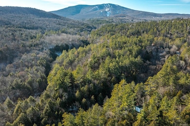 4410 Pikes Falls Rd, Jamaica, VT 05343 - photo 3