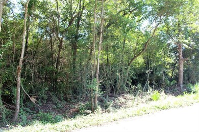 00 River Dr, Conroe, TX 77385 - photo 3