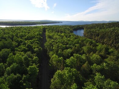 Lot 1B-9 Upper Dark Cove Rd, Weston, ME 04424 - photo 7