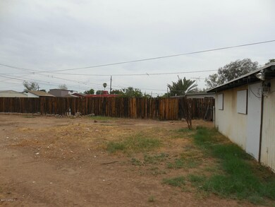 Backyard 1