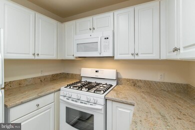 46878 Clarion Terrace unit 100, Sterling, VA 20164 - photo 4