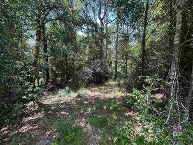 10790 Cattle Branch Ct unit 10, Mobile, AL 36608 - photo 2