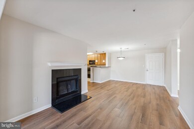 The Four Winds at Oakton unit C-9, Oakton, VA 22124 - photo 6