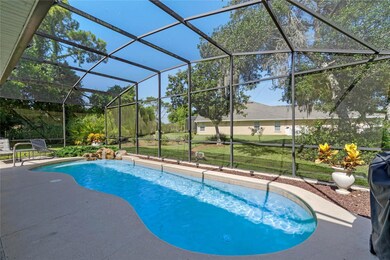 Lap Pool