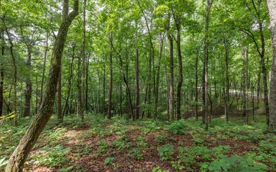 Additional View
