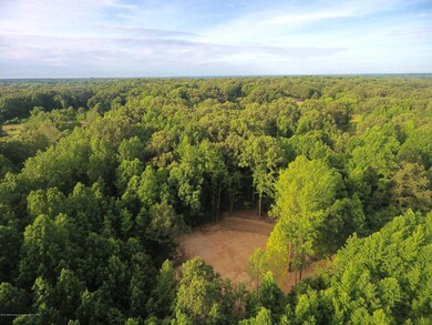 DJI_0029