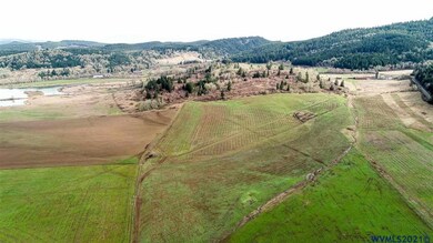 NA Parcel #291587 024798 024590 Rd, Philomath, OR 97370 - photo 7