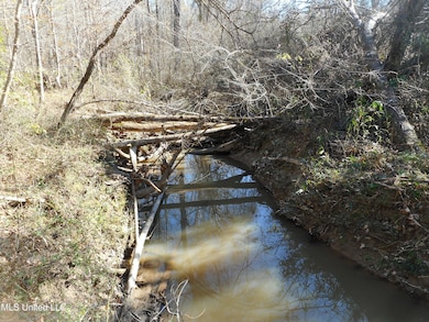 0 Joe Davis Dr, Brandon, MS 39042 - photo 6