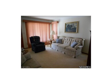 Neutral carpeting and custom venison blinds add a touch of glamour and style to this living  room.