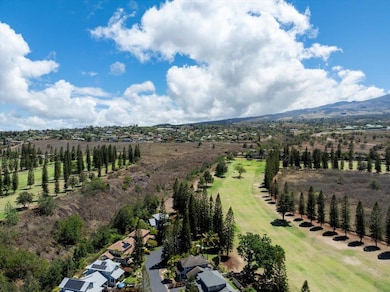 2740 Liholani St unit 10, Makawao, HI 96768 - photo 5