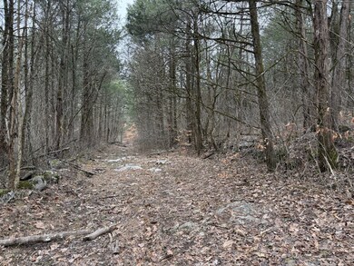 0 Cook Ln unit RTC3054661, Gainesboro, TN 38562 - photo 3