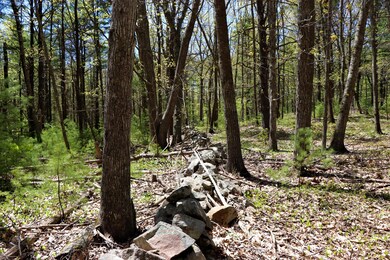 5 Primrose Ln, Cape Neddick, ME 03902 - photo 6