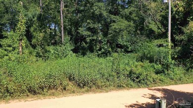 0 Eureka Landing Rd unit 669712, Uriah, AL 36480 - photo 3