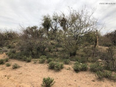 Lot View