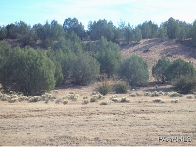 0 Ranch Rd unit 966506, Ash Fork, AZ 86320 - photo 3