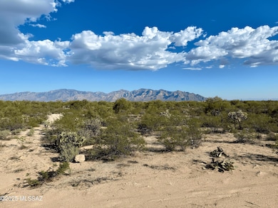 Photo Nov 05 2025, 3 19 58 PM-min