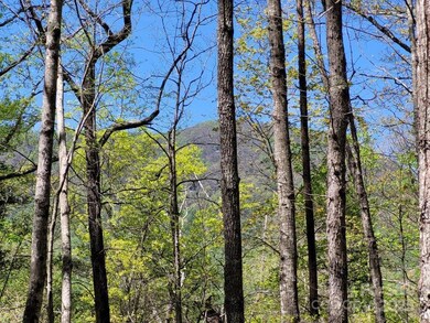 Lot 21 Little Fox Run, North Cove, NC 28752 - photo 5