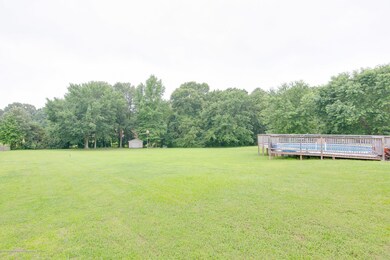 Backyard2