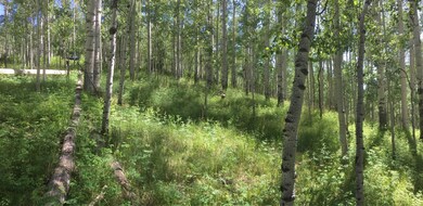 Homesite