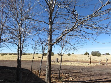Over 200 trees and shrubs planted