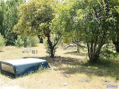 Rear Yard vw 4