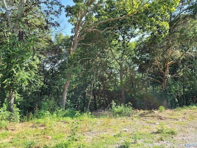 1 Union Hill Rd, Somerville, AL 35670 - photo 4