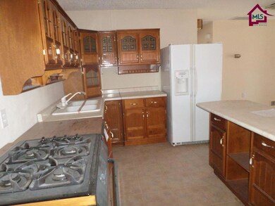 6590 Franklin Rd SE, Deming, NM 88030 - photo 7