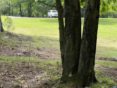 tbd Smith Rd, Afton, VA 22920 - photo 7