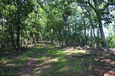 0 Easter Ridge Ln unit LotWP007 23743103, Gainesboro, VA 22603 - photo 7