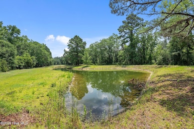 Pond on Property
