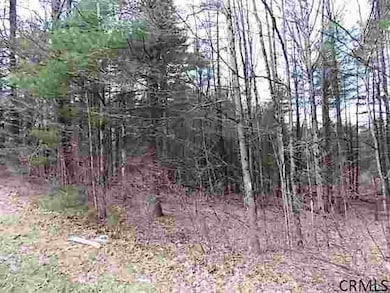 A1 Ruggles Rd, Gansevoort, NY 12831 - photo 2