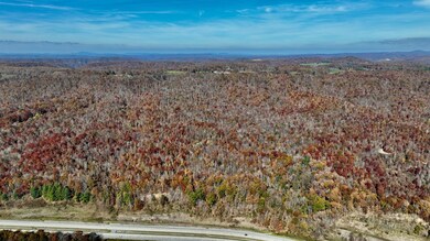 129 Woodchuck Run, Bragg, WV 25918 - photo 4