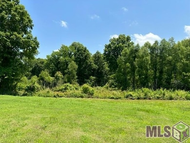 1053 Poydras Bayou Rd, Port Allen, LA 70767 - photo 2