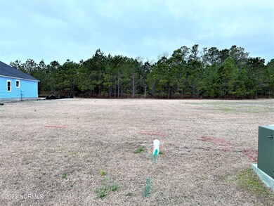 458 Summerhouse Dr, Holly Ridge, NC 28445 - photo 2