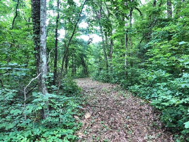 Trail to your dream home