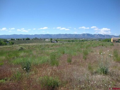 0 Road 24 6 unit 707703, Cortez, CO 81321 - photo 7