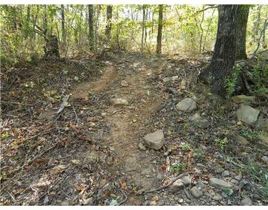 22308 N Highway 71, Winslow, AR 72959 - photo 7