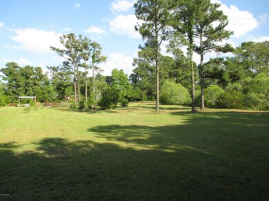 Middle Section of Property