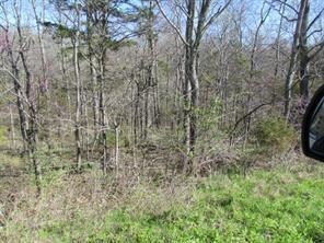 7.53 AC Whitehouse Rd, Fayetteville, AR 72701 - photo 6