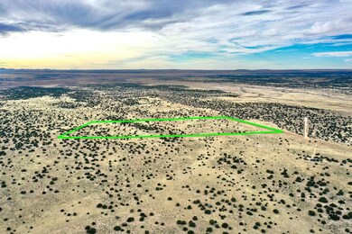 Tbd N6579, Saint Johns, AZ 85936 - photo 3