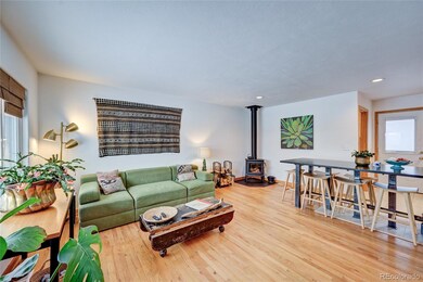 502 Park Ln, Buena Vista, CO 81211 - photo 2