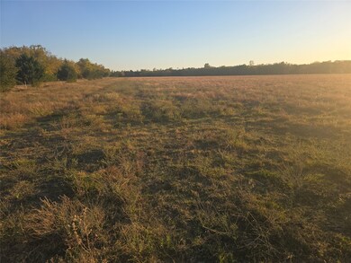 801 County Road 36010, Honey Grove, TX 75446 - photo 5
