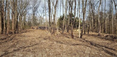 749 Old Fayetteville Rd, Freeburg, IL 62243 - photo 2