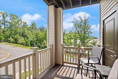 46270 Mount Allen Terrace unit 201, Sterling, VA 20164 - photo 7