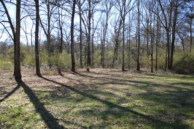 surrounded by trees